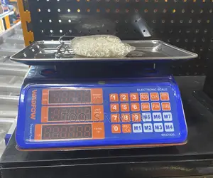 Wadfow Digital Scale 30kg