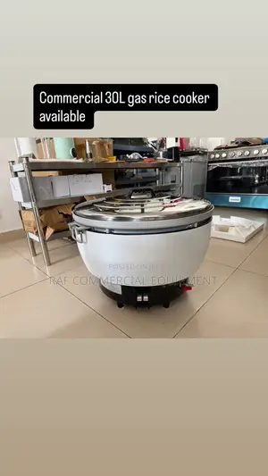 Commercial 30l Gas Rice Cooker | 23–35L Capacity | LPG Gas / Electric | Non-Stick Pot | Auto-Keep-Warm | Hotel & Restaurant Grade