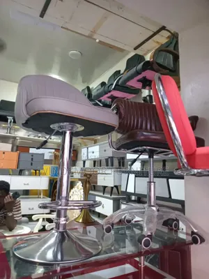 Modern and Classic Salon Chair