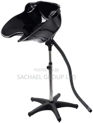 Standing Hair Washer