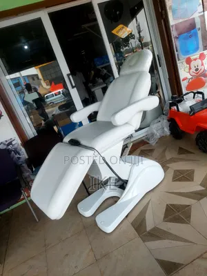 Electronic Spa Bed With A Remote