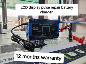12v- 24V Pulse Repair Battery Charger