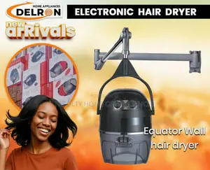 Wall Mounted Salon Hair Dryer