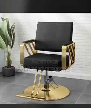 Salon Chair