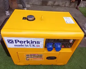 Perkins Diesel Generator