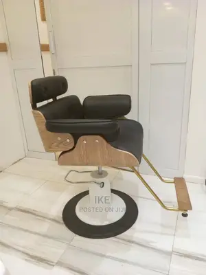 Barber and Salon Chair
