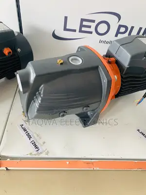 /Leo 2hp Cast Pump