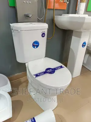 Toilet Seat Water Closet