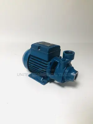 Pentax 1HP Water Pump