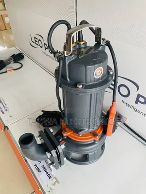 Leo 1.5HP Submersible Borehole Pump