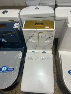 White And Gold Water Closet With Wall Hanging Basin