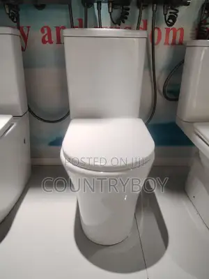 Water Closet 2008 | Ceramic Glaze | P & S Trap Options | Dual Flush / Press Top | UK / Italian Standard | 10+ Year Durability