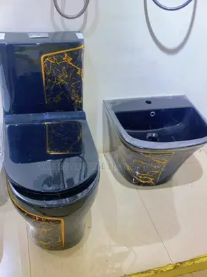 Complete Luxury Water Closet With Basin