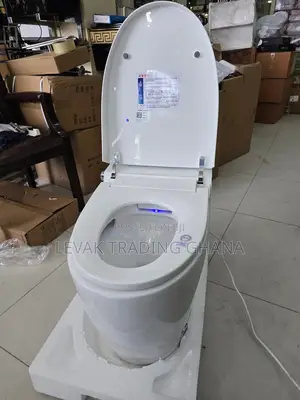 Toilet Automatic Watercloset