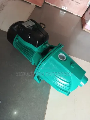 Rio 1hp Surface Mounted Water Pump