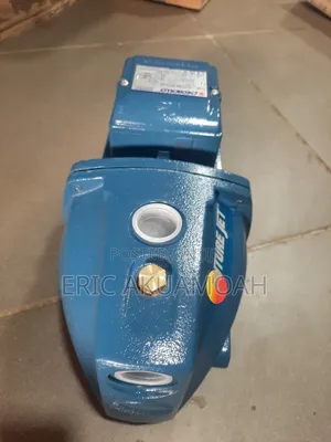 Pedrollo 1.5HP Water Pump