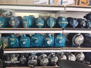 0.5 Hp Leo Pump Water Pumps