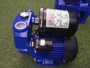 Chimp Water Pump 1.0hp