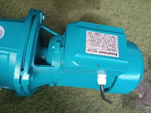 Quality Ecoolmax Surface Pump