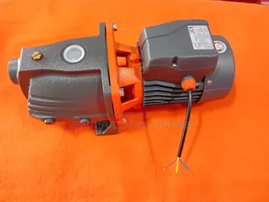 Leo 1.5HP Water Pump