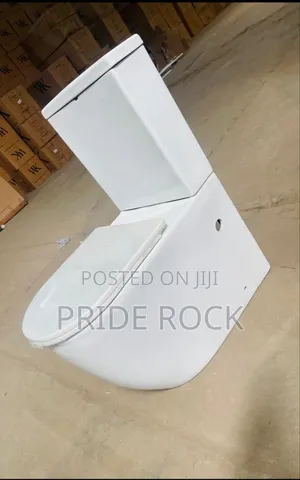 Egg Shaped Wc | Ceramic Glaze | P & S Trap Options | Dual Flush / Press Top | UK / Italian Standard | 10+ Year Durability