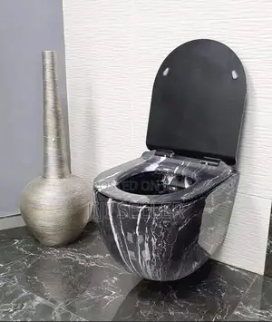 Hanging Water Closet