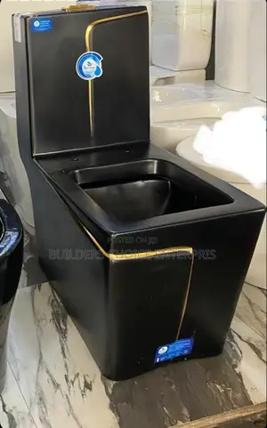 Matte Black Designed Water Closet