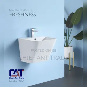 Hung Basin | Ceramic / Marble / Stone Resin | Wall-Hung & Floor-Standing | With Mirror & Cabinet Options Available