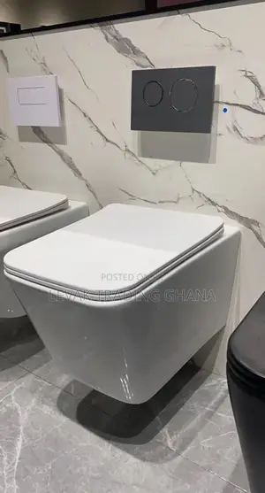 Concealed Wall Mounted Toilet Bowl - Hanging Wc