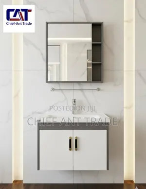 Cabinet Basin With Mirror