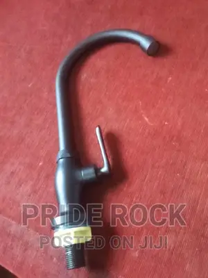 Black Single Rotatable Stainless Steel Sink Tap