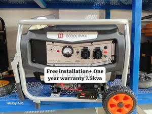 Smooth Power Delivery 7.5kva Genset Ecoolmax Genset