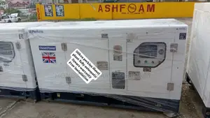 Beat Electricity With Perkins 50kva Plant 3phase Fully Ats