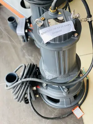 80wq20-30-5.5 Leo 7.5hp Sewage Pump