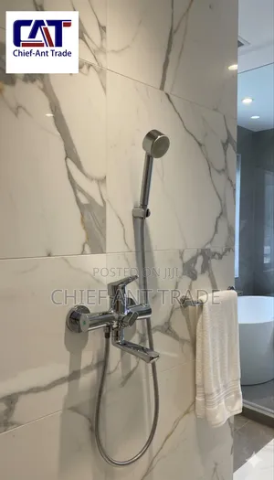 Robust Shower Set Silver / Chrome