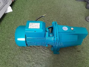 Water Pump Ecoolmax 2.2hp Surface