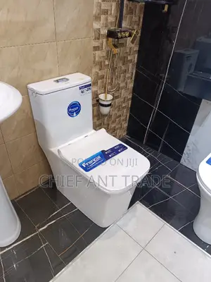 Combined Wc. Toilet Seat. 306