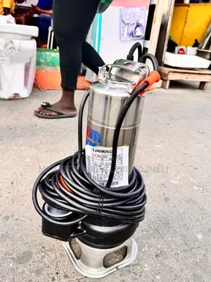 Pedello Bore Hole Pump