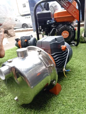 Buy 1.5hp Leo Water Pump Stainless