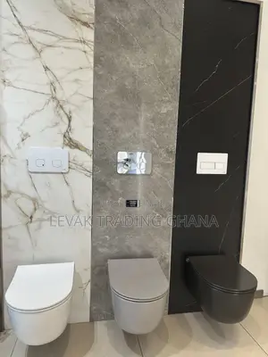 Concealed Watercloset_ Wall Mounted Wc