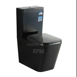 Master Bedroom Black Wc Complete Water Closets | Ceramic Glaze | P & S Trap Options | Dual Flush / Press Top | UK / Italian Standard | 10+ Year Durability