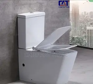 Slim Tank Toilet Seat Wc 309