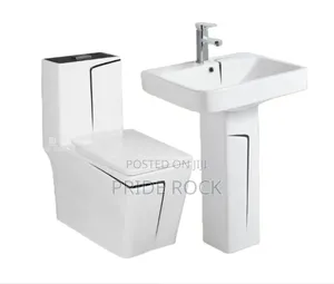 Water Closet With Basin And Mixture Tap(White Black)