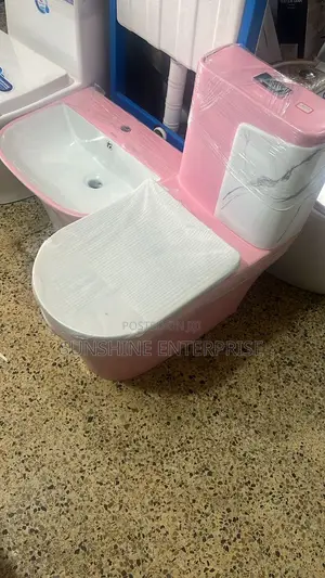 Pink and White Water Closet With Hand Wash Basin