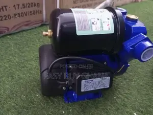 Water Pump 1.0hp Chimp