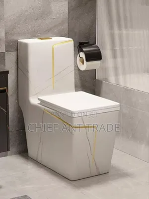 Toilet Seat Wc Water Closet