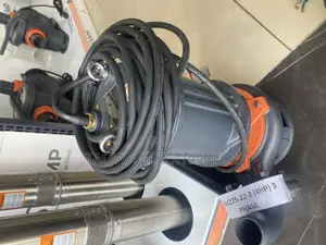 Daring)Leo 65wq25-22-3 Sewage 4hp Pump