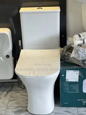 Close Couple Water Closet (Dual Flush)