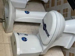 Water Closet With Wash Basin and Pedestal