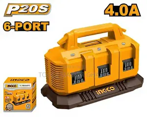 P20s Battery Charger - Fcli2064